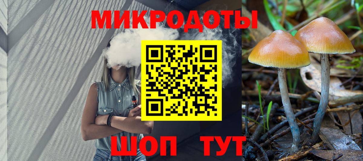 Псилоцибиновые грибы мицелий Междуреченск