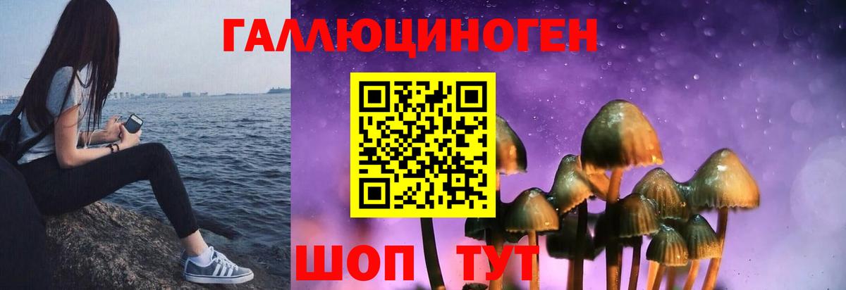 Междуреченск  Галлюциногенные грибы мицелий  Вход с VPN  Галлюциногенные грибы Cubensis 